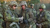 Ruotsalaisia ja suomalaisia sotilaita Skövdessä marraskuussa 2010.