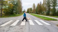 opaskoira Ämy