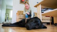 Kajaanilainen Sirpa Myöhänen rapsuttaa opaskoira Luffea. 