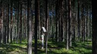 Teloituspaikka metsässä.