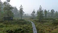 Kurjenrahka nationalpark