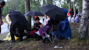 Festarikansaa Joensuun linnunlahdella.