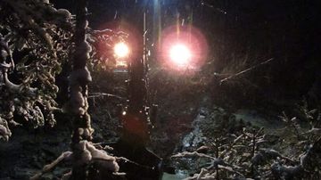 Kaivuri metsässä.