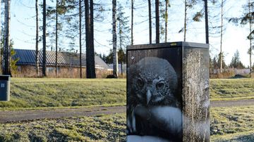 Juha Suonpään Tässä -teoskokonaisuus on Virolaisen alueen sähköjakokaapeissa.