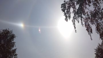 Halo