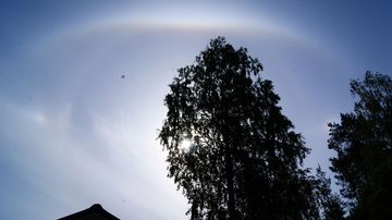 Halo