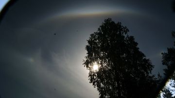 Halo