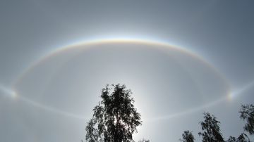 Halo