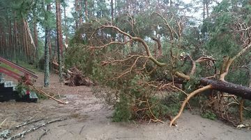 Kaatunut puu rakennuksen pihassa Ärjänsaaressa.