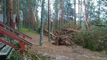 Kaatuneet puut Ärjänsaaressa rakennuksen pihassa.
