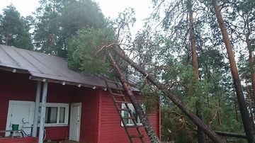 Kaksi kaatunutta mäntyä Ärjänsaaren leirimajan katolla.