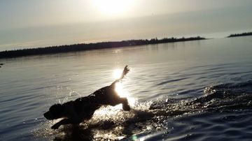 Kesäkuvakisa 2015