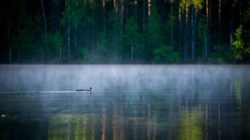 Kesäkuvakisa 2015