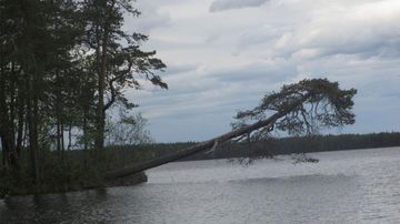 Kesäkuvakisa 2015.