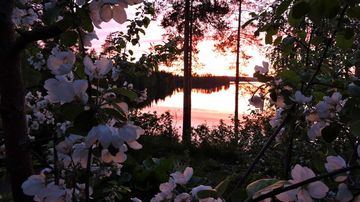 kesäkuvakisa