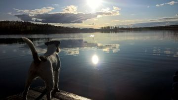 kesäkuvakisa