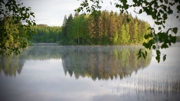kesäkuvakisa