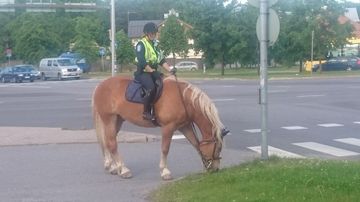kesäkuvakisa