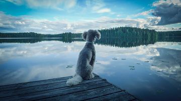 Kesäkuvakisa 2015
