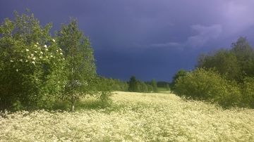 Mieslahti