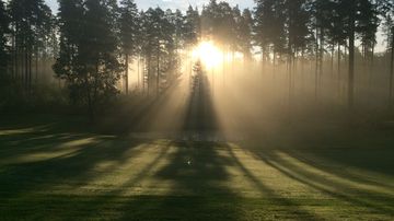 "Morning glory", Kauniainen