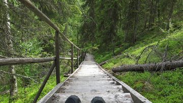 Vaellusreitin raput kuvattuna ylhäältä.