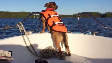 Veneretki Enonvedellä