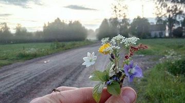 Kesäkuvakisa 2015