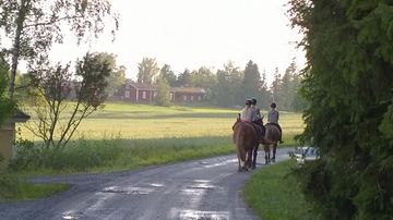 Kesäkuvakisa 2015