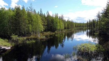Kesäkuvakisa 2015