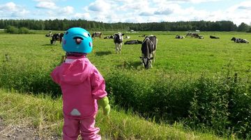 Kesäkuvakisa 2015