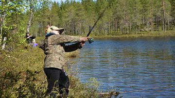 Kesäkuvakisa 2015