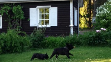 Kesäkuvakisa 2015
