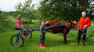 Kesäkuvakisa