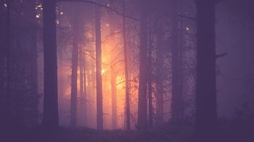 Kesäkuvakisa 2015.