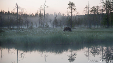 Kesäkuvakisa 2015