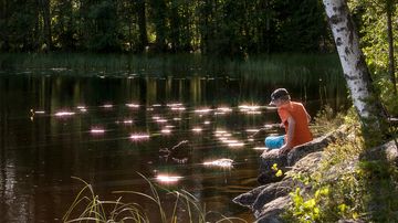 Kesäkuvakisa