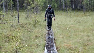 Kesäkuvakisa