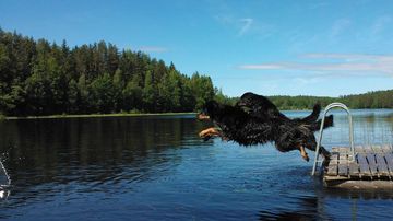 Kesäkuvakisa heinäkuu 2015