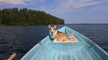 kesäkuvakisa