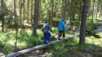kesäkuvakisa