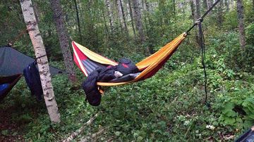 riippumatto metsässä