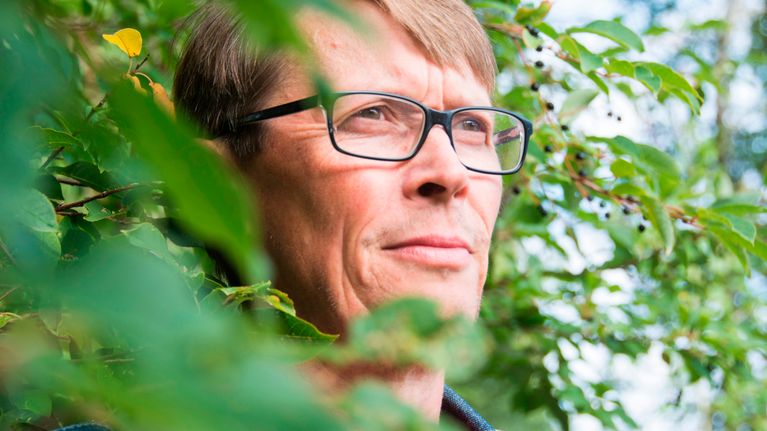 Isän iltasatuhetkessä syntyi keksintö, joka levisi viiteen kuntaan ...