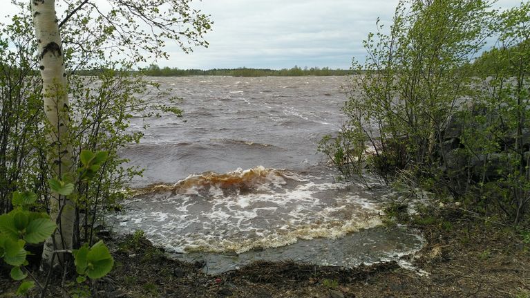 Tuuli vei sähköjä ja teki muutenkin tuhojaan: Kattopeltejä irti, puita ...