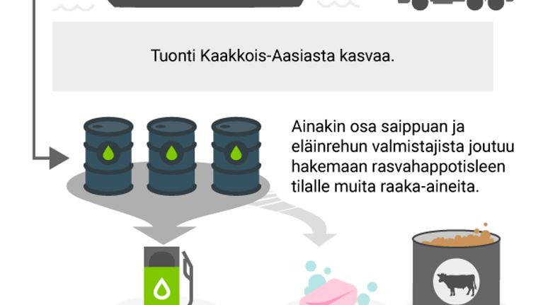 Biopolttoaineiden kysyntä kasvaa EU:ssa - grafiikka
1. Neste on kehittänyt uusia polttoaineita vastaamaan biodieselin kysynnnän kasvuun
2.Yhtenä raaka-aineena Neste käytää palmuöljy saatavaa rasvahappotislettä
3. Tuonti kaakkois-aasiasta kasvaa
4. Tisleen kysyntä pakottaa ainakin osaa vanhoista käyttäjistä hakemaan korvaavia raaka-aineita
5.Tisleen vanhat käyttäjät siirtyvät käyttämään palmuöljyä ja lisäämään entisestään palmuöljyn käyttöä
6. Sademetsiä raivataan palmuöljy viljelmien tieltä
7. Sadementsien raivaaminen vaikeuttaa ilmastonmuutoksen hillintää ja lisää  ilmastopäästöjä