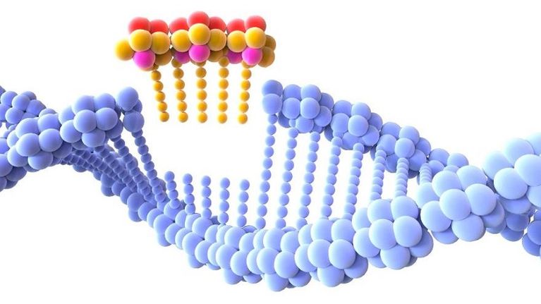DNA:n sekvensointi ei ole enää pullonkaula, nyt ratkaisee perimän ...