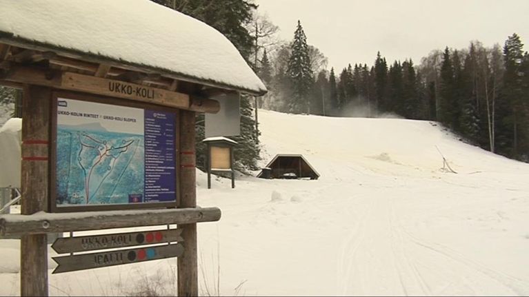 Kolin rinteet auki viikonlopuksi | Yle