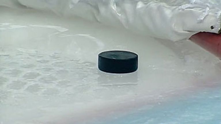 KIekko maalissa.
