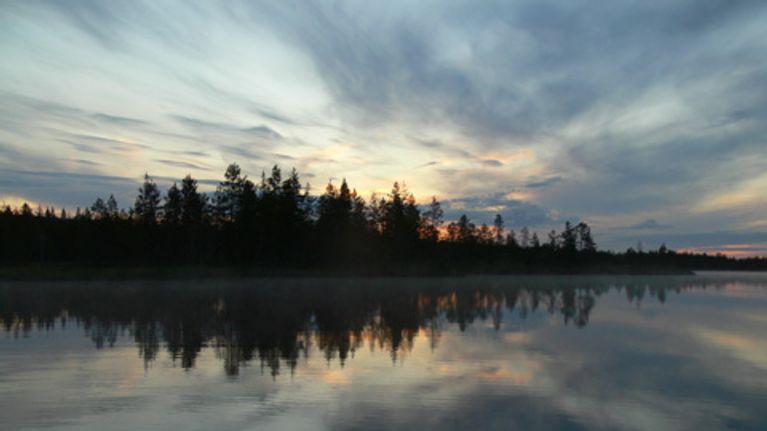 Järvimaisema.