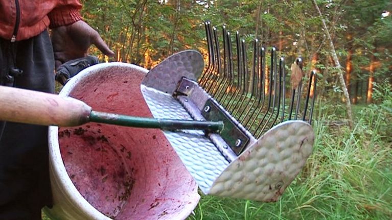 Henkilö pitelee kädessään varrellista marjapoimuria ja ämpäriä.